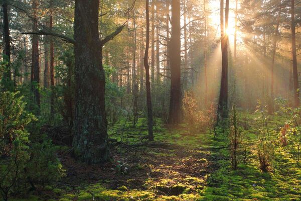 Launching Thematic Tracks to Advance Climate Solutions Investing