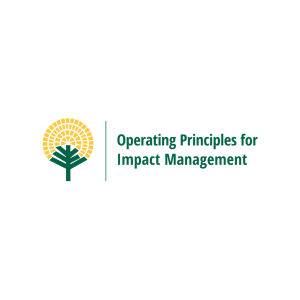 What is the GIIN doing to uplift IMM adoption and harmonization?