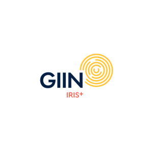 What is the GIIN doing to uplift IMM adoption and harmonization?