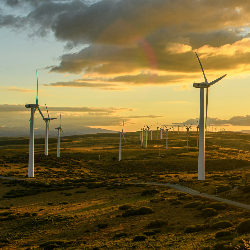 Tools and resources for asset owners and allocators:
