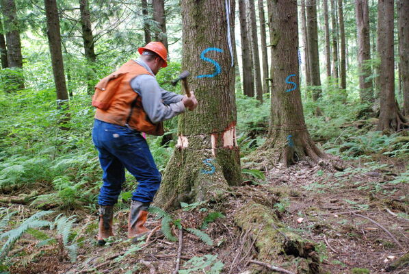 Ecotrust Forests I LLC (EF-I)