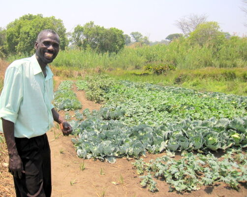 Rent-to-Own Limited Zambia