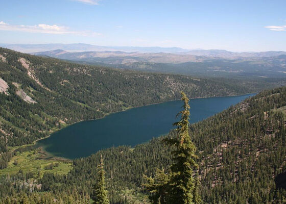 The Nature Conservancy