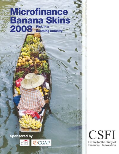 Banana Skins 2008: Risk in a Booming Industry