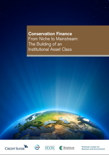 Conservation Finance, From Niche to Mainstream: The Building of an Institutional Asset Class