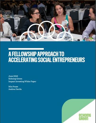 A Fellowship Approach to Accelerating Social Entrepreneurs