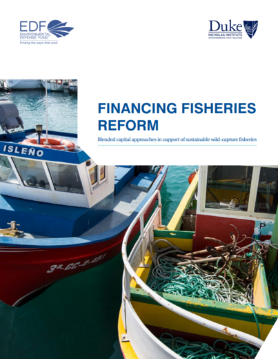 Financing Fisheries Reform: Blended capital approaches in support of sustainable wild-capture fisheries
