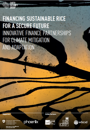 Innovative finance mechanisms for climate-smart rice production a key to global food security