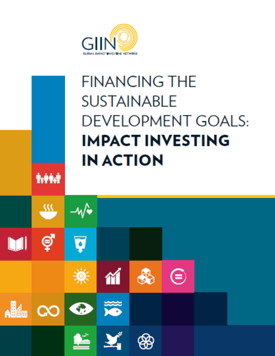 Financing the Sustainable Development Goals: Impact Investing in Action