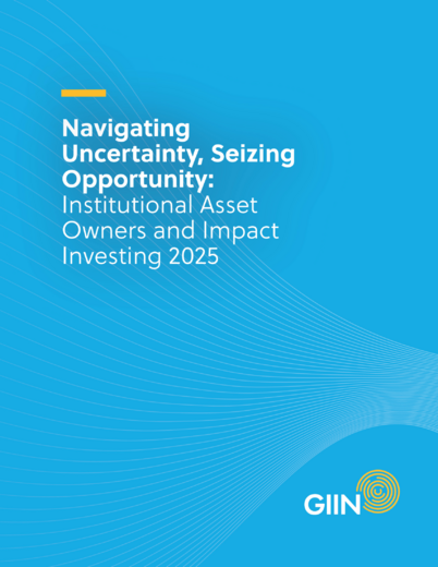 View a selection of publications from the IAO Capital Mobilization Program: