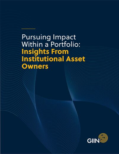 Pursuing Impact Within a Portfolio: Insights From Institutional Asset Owners