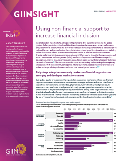 GIINsight: Using non-financial support to increase financial inclusion