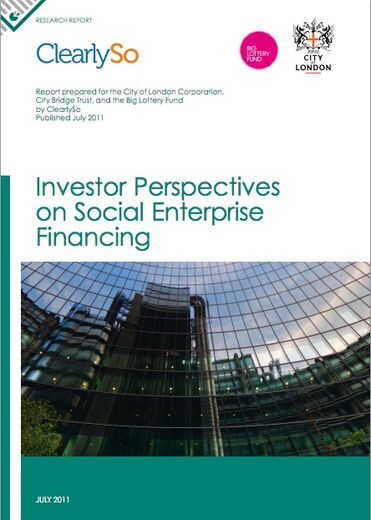 Investor Perspectives on Social Enterprise Financing