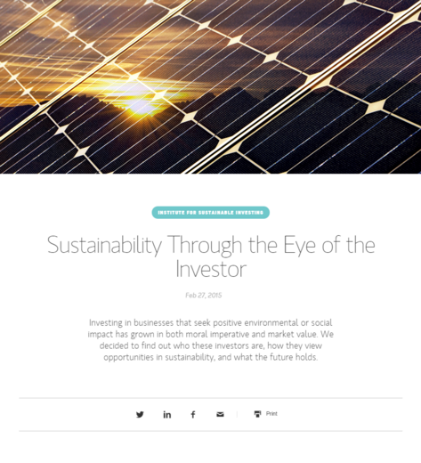 Sustainability Through the Eye of the Investor
