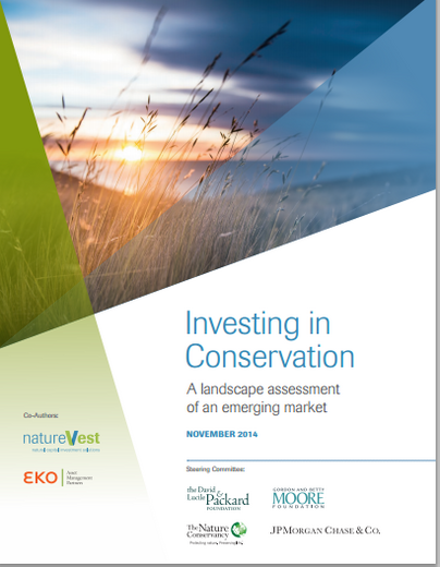 Investing in Conservation: A landscape assessment of an emerging market