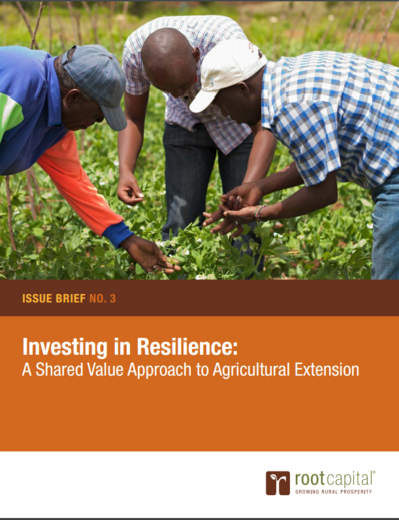 Investing in Resilience: A Shared Value Approach to Agricultural Extension