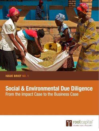 Social & Environmental Due Diligence: From the Impact Case to the Business Case