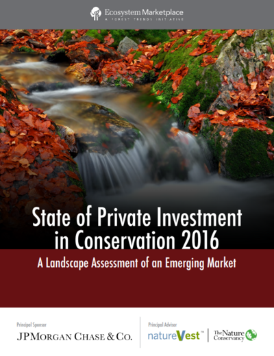 A Landscape Assessment of an Emerging Market