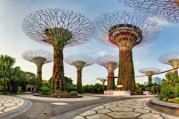 Seven things to watch in impact investing in 2025
