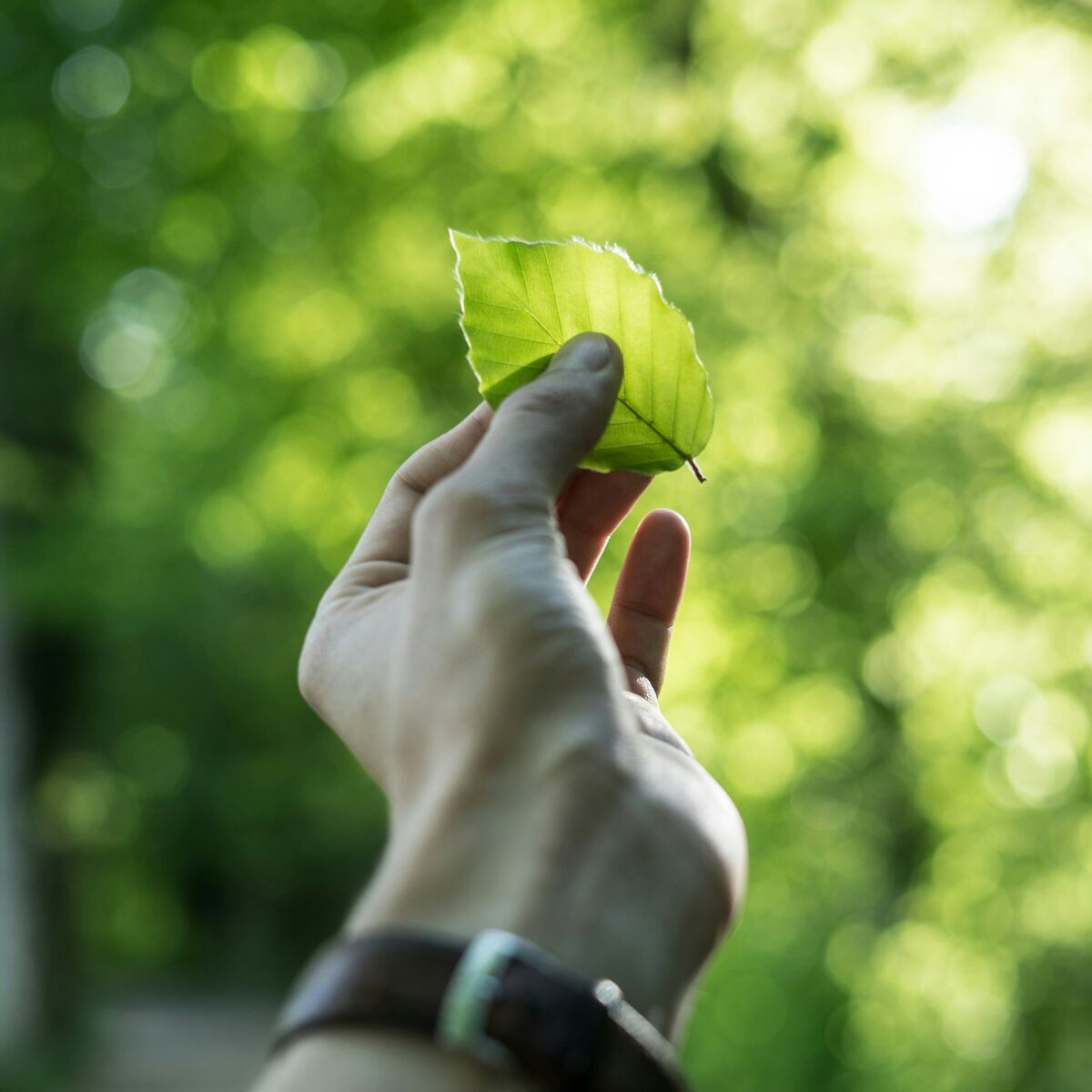 What is blended finance?
